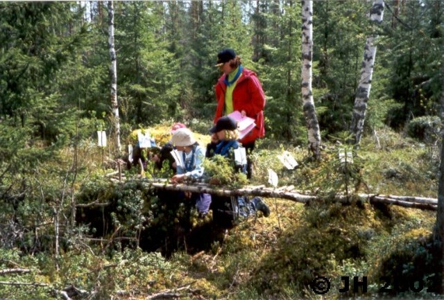 Matkalla metsaan_08