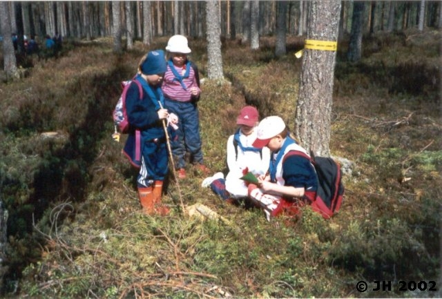 Matkalla metsaan_10