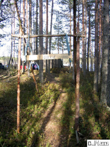Lepakko_01