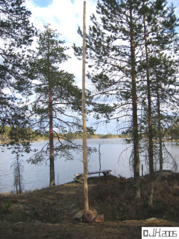Lepakko_02