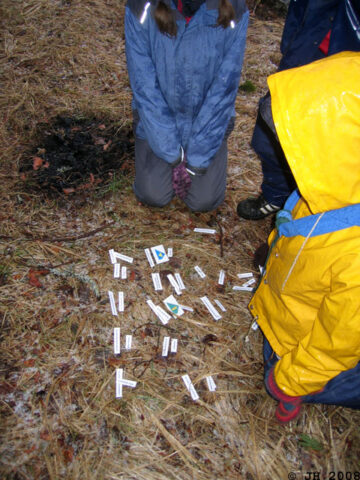 Riihitys 2008_07