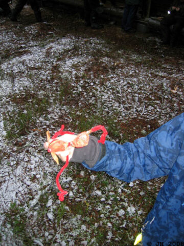 Taikaviitta 08_01