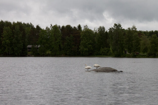 Koevaellus_06