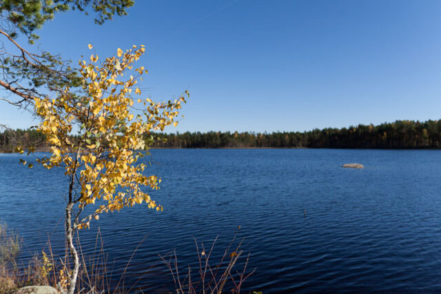 Välkky 2011_03
