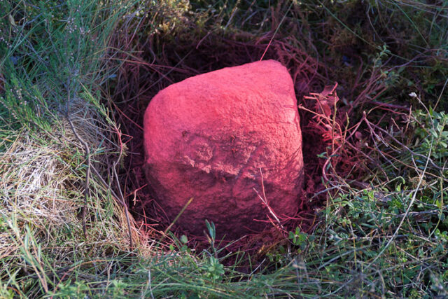 Välkky 2011_04