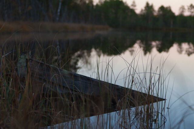 Välkky 2011_10