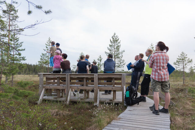 Kevätkaudenpäätös 2012_03