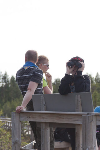 Kevätkaudenpäätös 2012_05