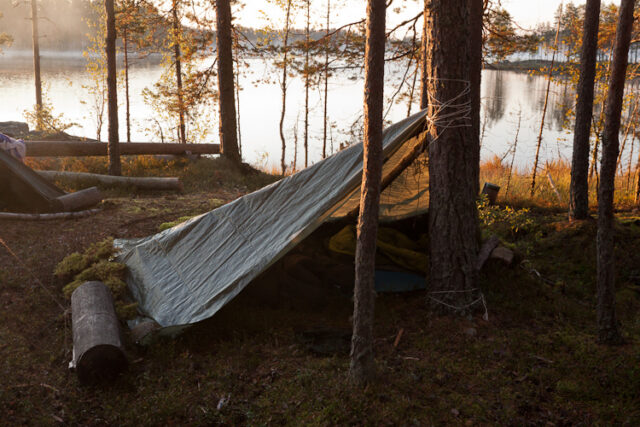 Vihe2013_05