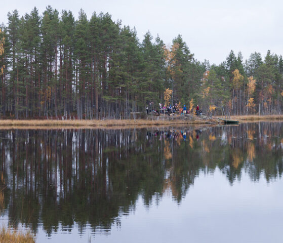 Välke2014_01
