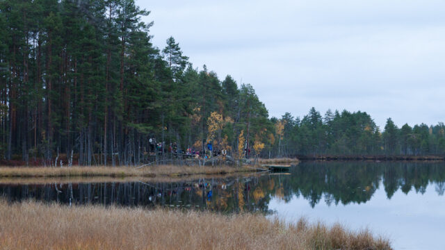 Välke2014_02