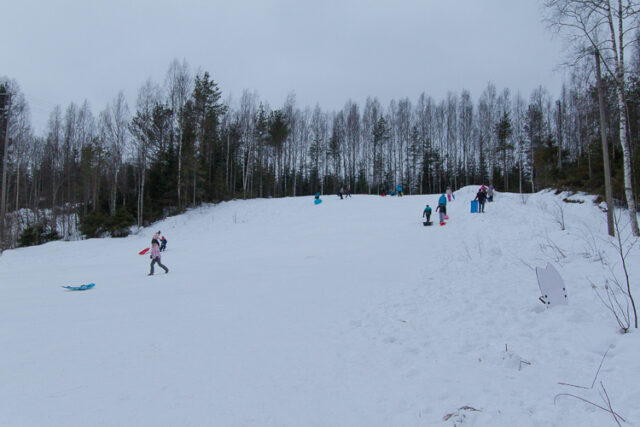 Laskettelu 2015_01