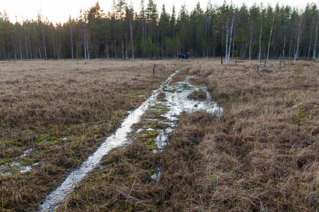 Kevätvaellus2015_02