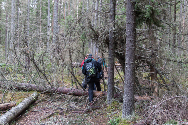 Johtajavaellus 2015_04