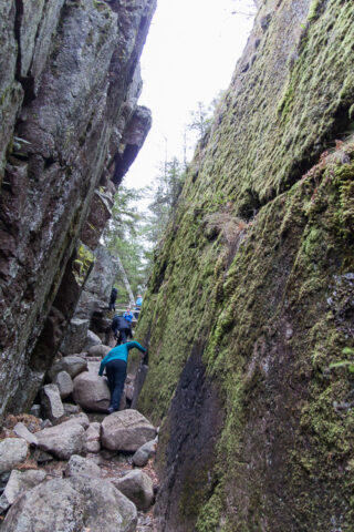 Johtajavaellus 2015_08