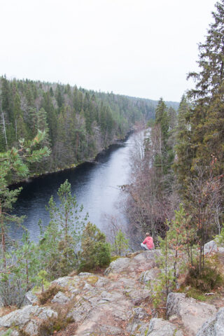 Johtajavaellus 2015_12