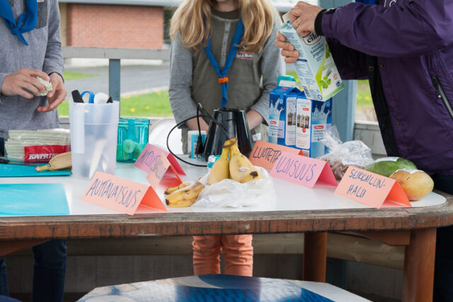 Kevätkaudenpäätös2016_04