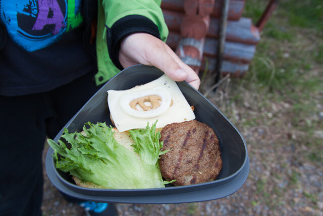 Kokko2016_02