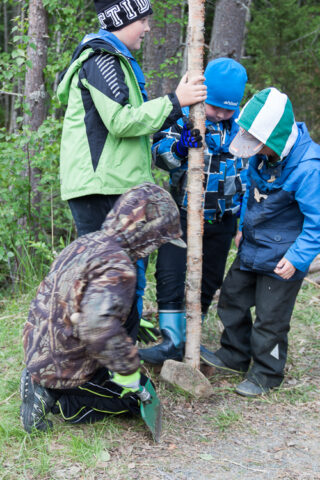 Kokko2016_06