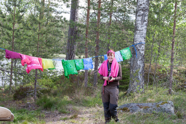 Kokko2016_15