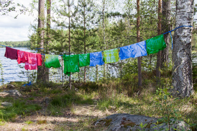 Kokko2016_16