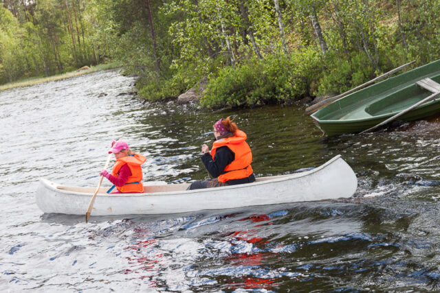 Kokko2016_18