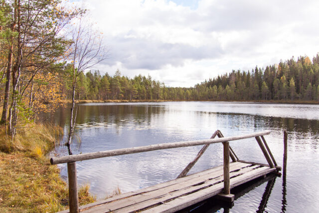 Susiensyysvaellus_01