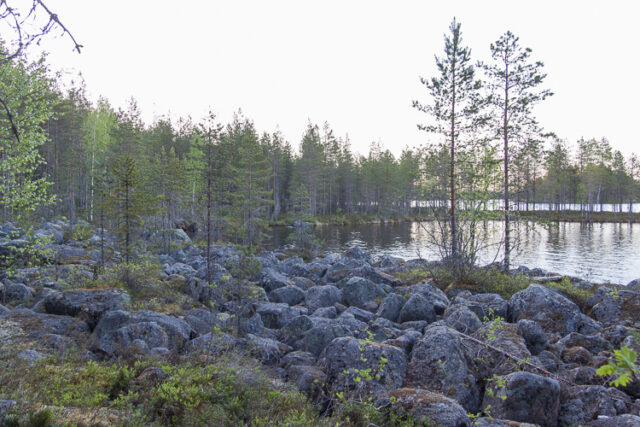 SusiSalamajärvi_03