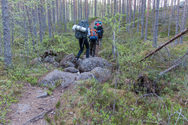 SusiSalamajärvi_06