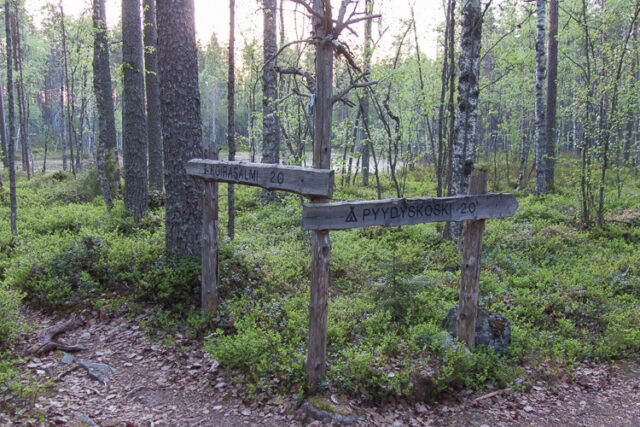 SusiSalamajärvi_09