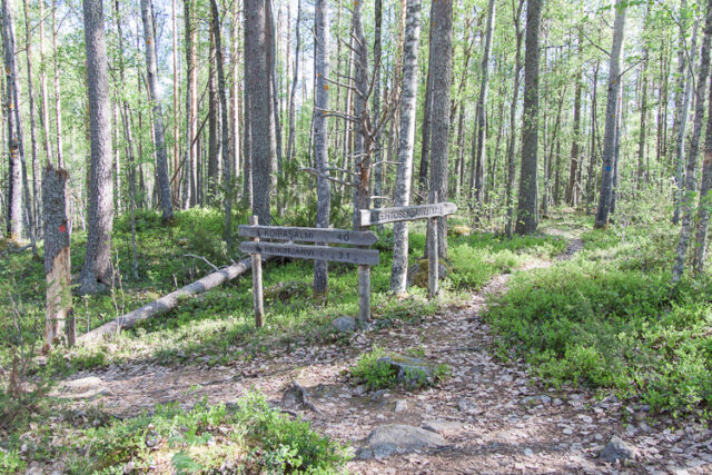 SusiSalamajärvi_13