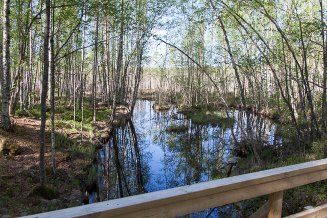 SusiSalamajärvi_14