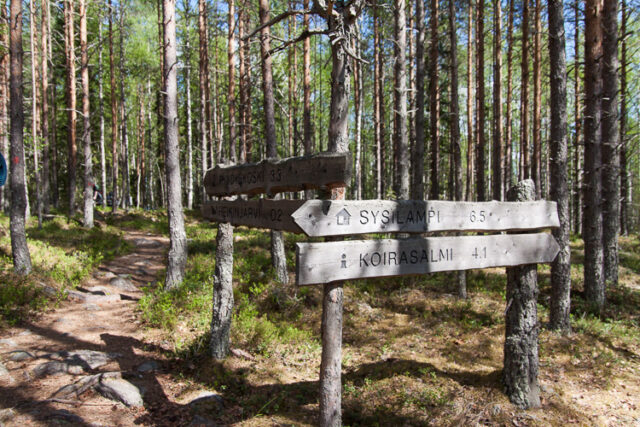 SusiSalamajärvi_26