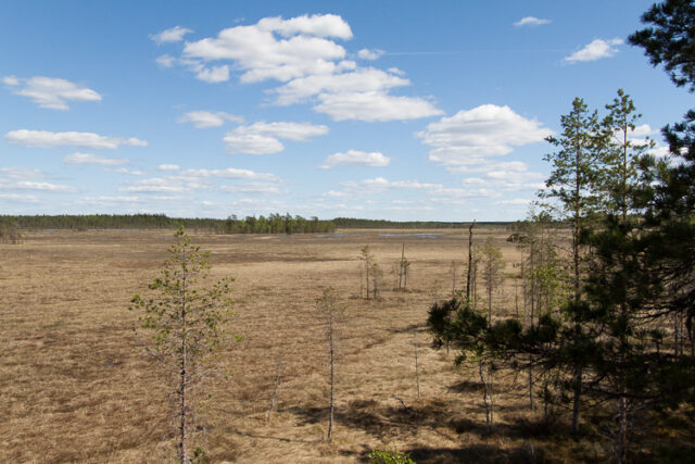 SusiSalamajärvi_32