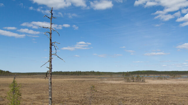 SusiSalamajärvi_33