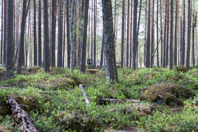 SusiSalamajärvi_43
