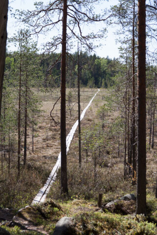 SusiSalamajärvi_46