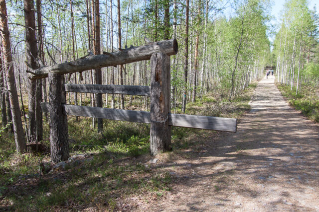 SusiSalamajärvi_48