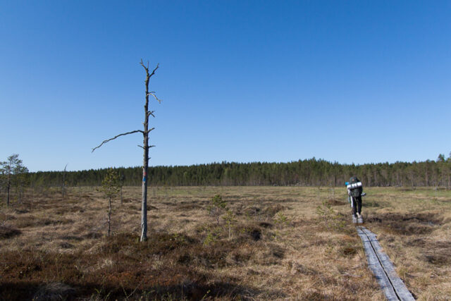 SusiSalamajärvi_52
