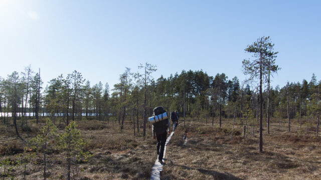 SusiSalamajärvi_56