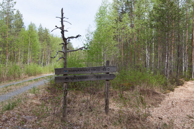 SusiSalamajärvi_77