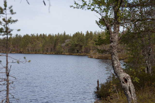 SusiSalamajärvi_78