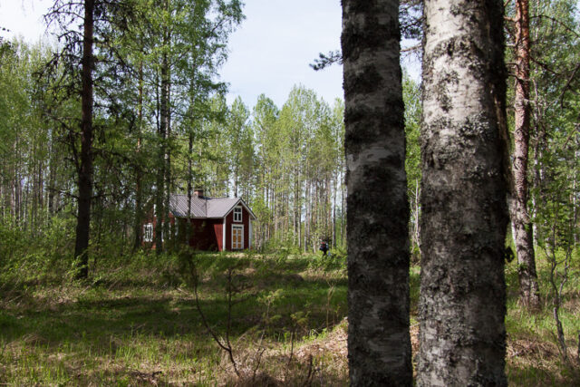 SusiSalamajärvi_84