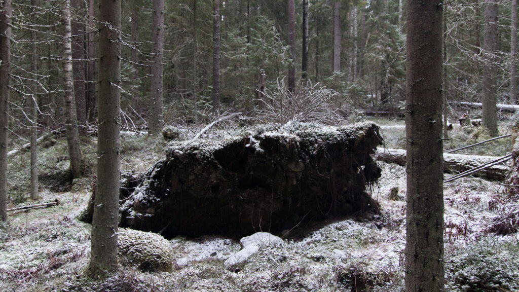 Rospuuttoretki 2018_005