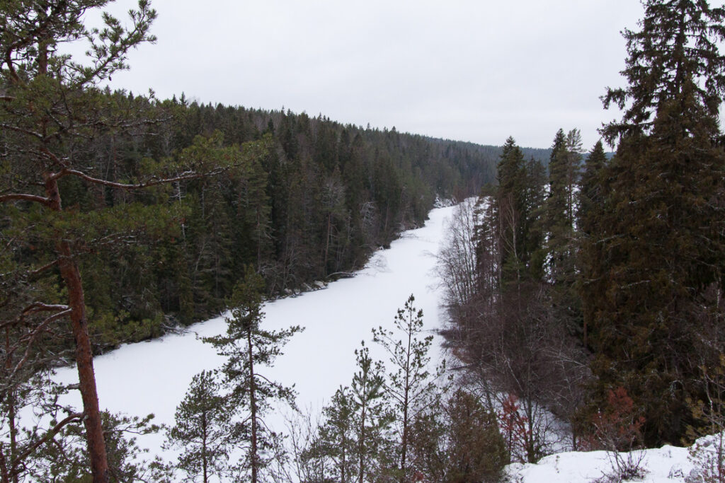 Rospuuttoretki 2018_009