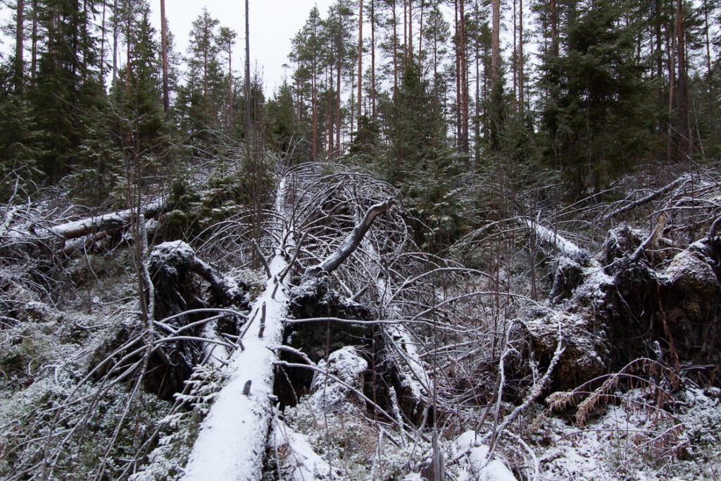 Rospuuttoretki 2018_010