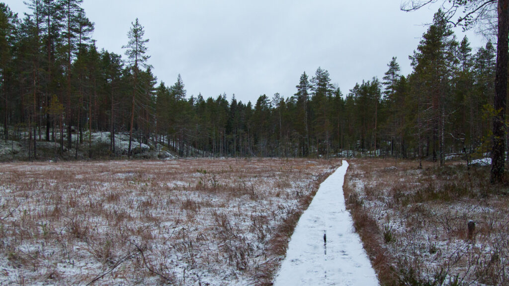 Rospuuttoretki 2018_012