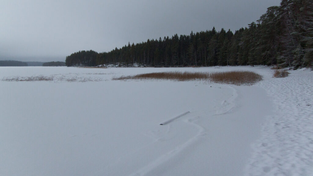 Rospuuttoretki 2018_020