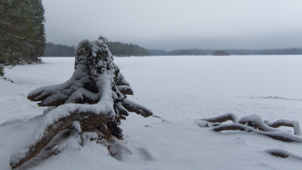 Rospuuttoretki 2018_021