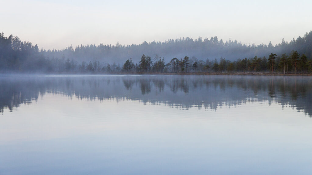 Seikkailijoiden syysretki 2019_002
